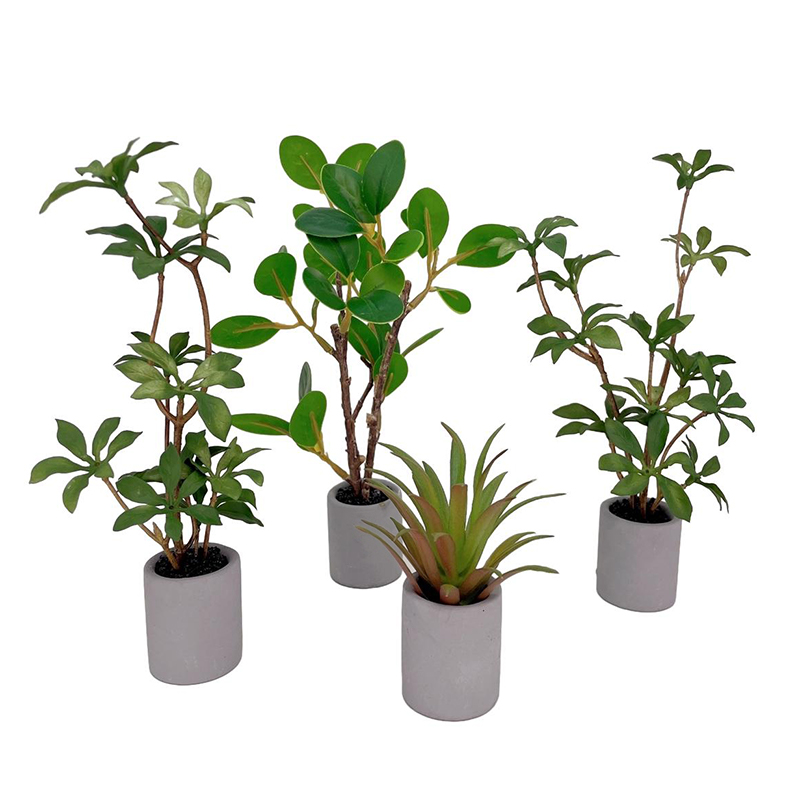 Smart Garden Mini - 1:6 Dollhouse Miniature Potted Plant Green