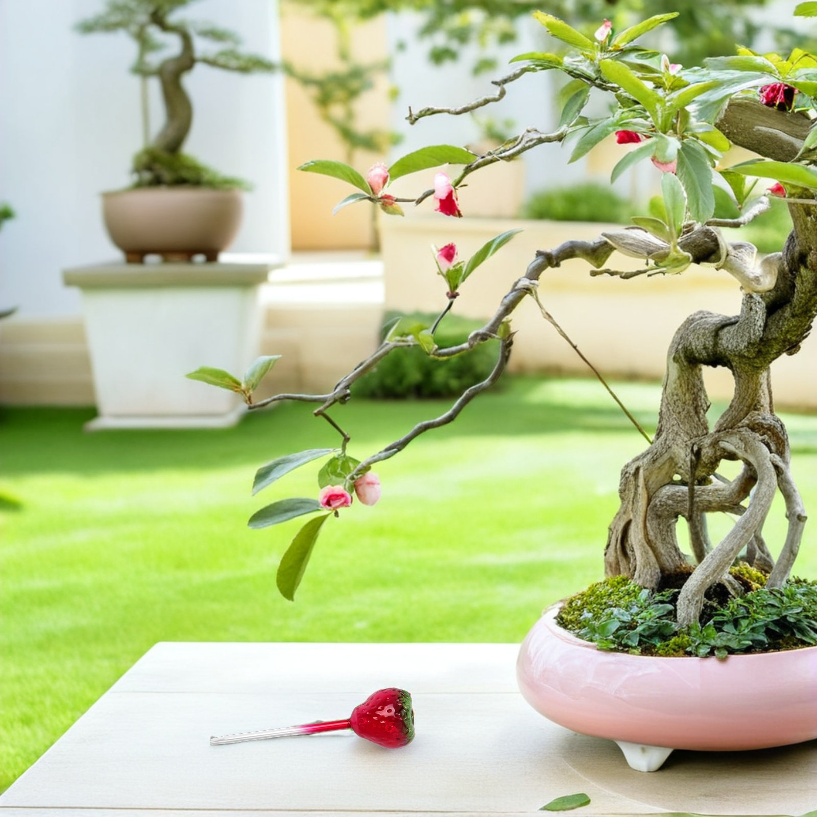 Plant Watering Globe - 2Pcs Glass Strawberry Plant Watering Globes