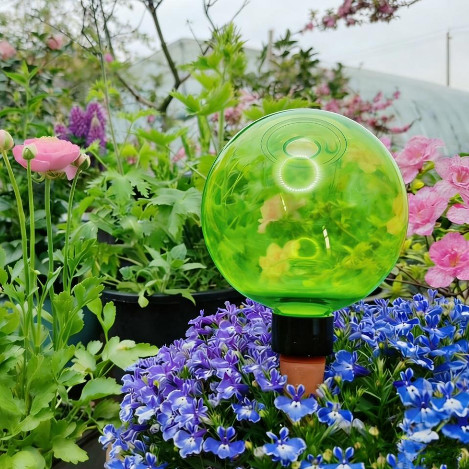 Plant Watering Globe - 3pcs Large Plant Self Watering Globes