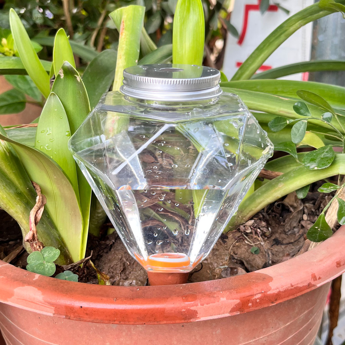 Plant Watering Globe - 1pcs Cute Plastic Watering Machine Waterer