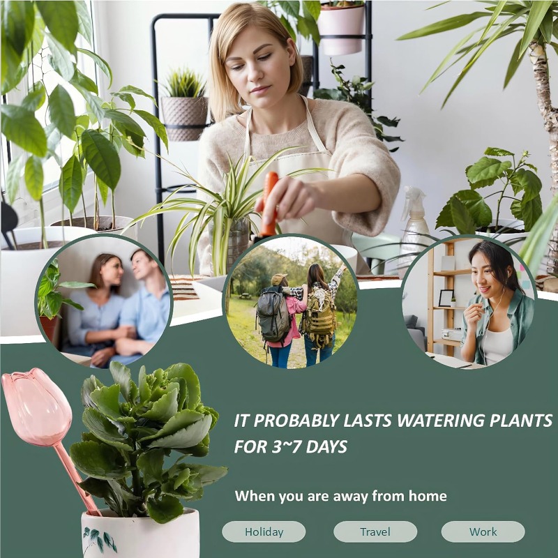 Pink Tulip Plant Watering Ball - đánh giá và giá Plant Watering Globe