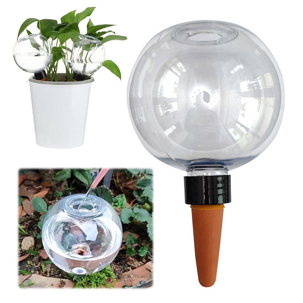 500ML Self Watering Globes Dri - đánh giá và giá Plant Watering Globe