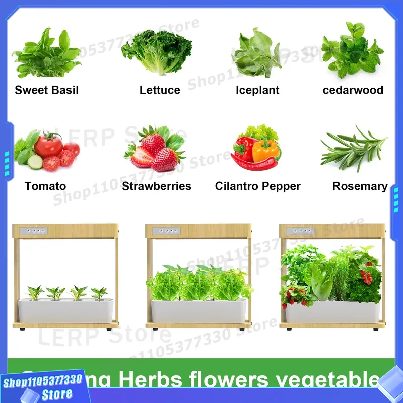 IGS-05 Smart Hydroponic Garden - đánh giá và giá Smart Pod Garden
