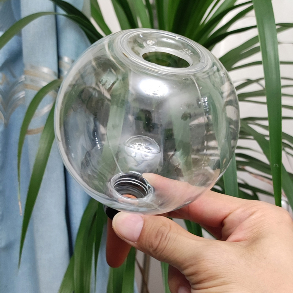 500ML Self Watering Globes Dri - đánh giá và giá Plant Watering Globe