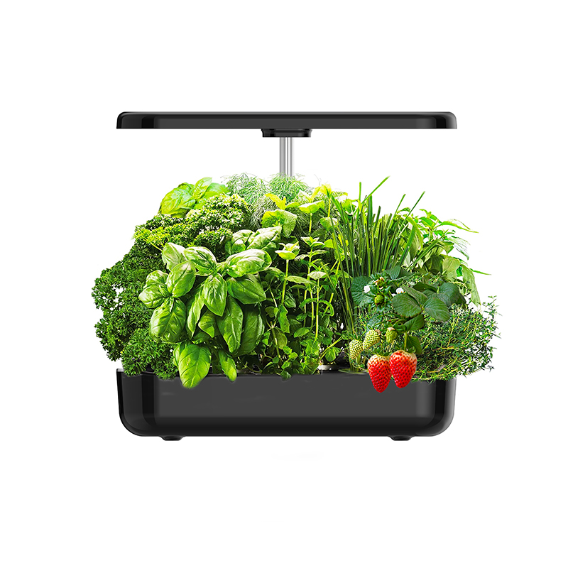 12 Pods Smart Hydroponic Grow  - đánh giá và giá Smart Pod Garden