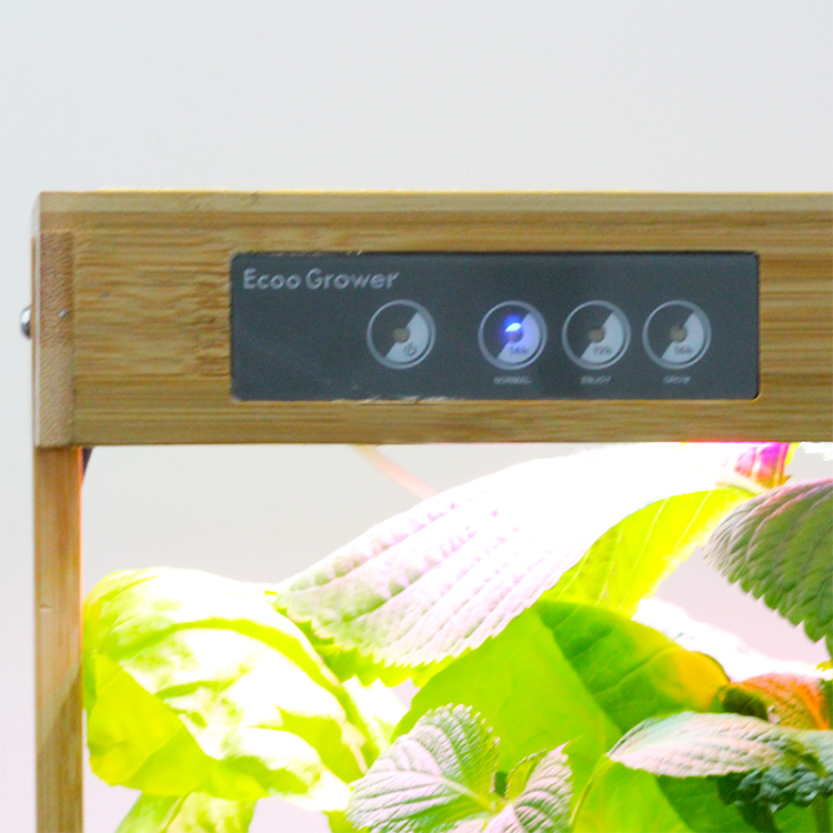 Bamboo Nature 8 Pods Home Hydr - đánh giá và giá Smart Pod Garden