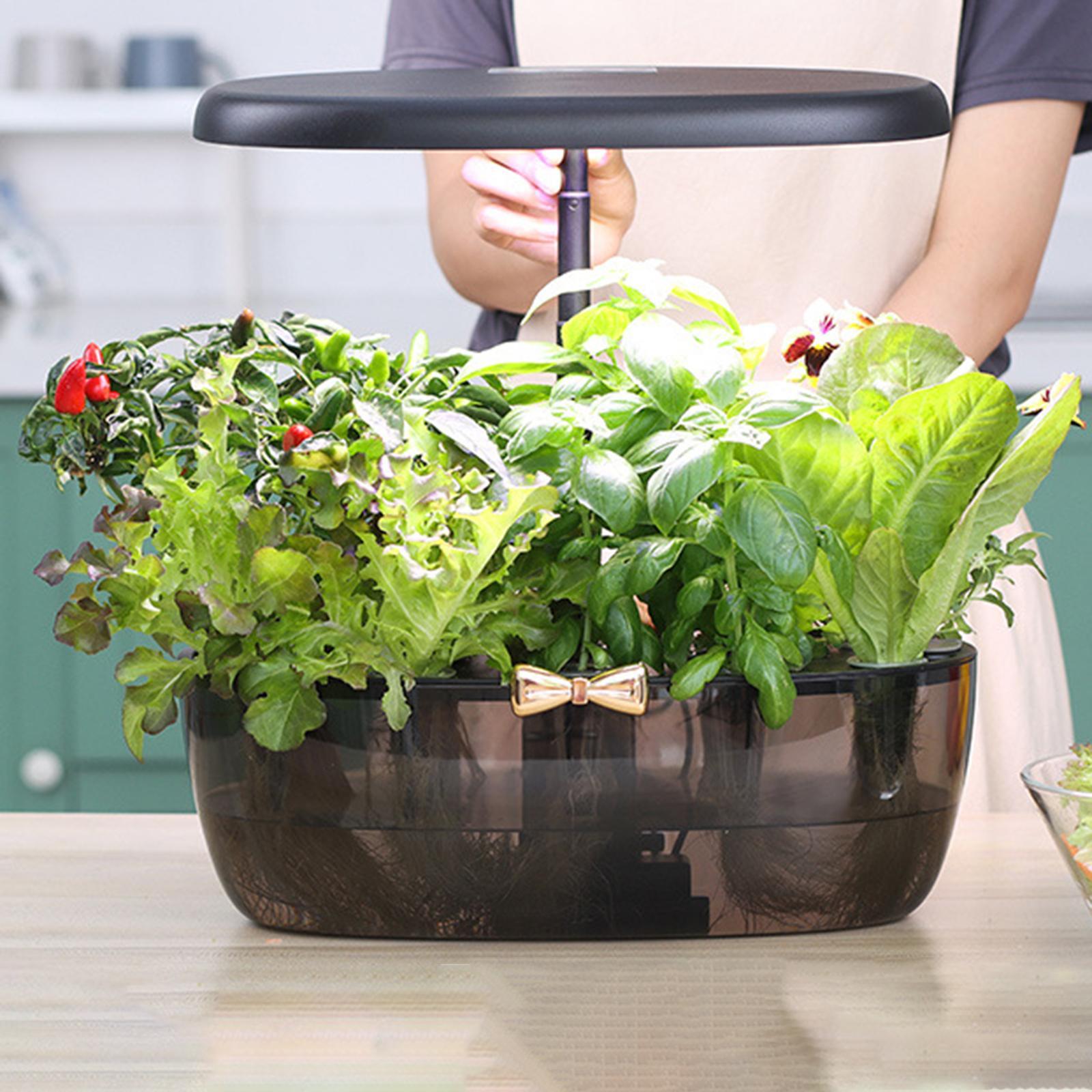 Hydroponics Growing Machine Li - đánh giá và giá Smart Pod Garden