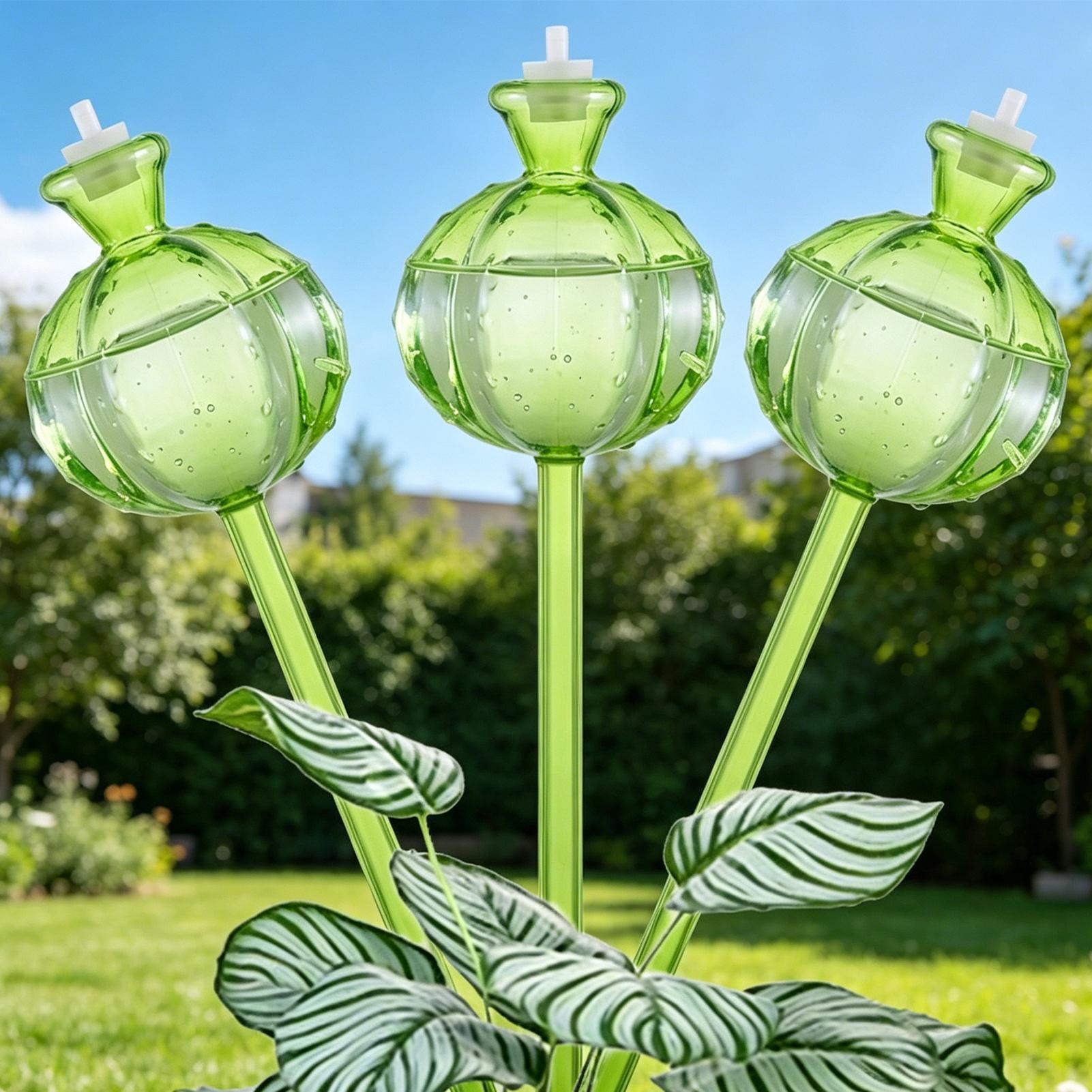 Self-Watering Globes 3 Pieces  - đánh giá và giá Plant Watering Globe