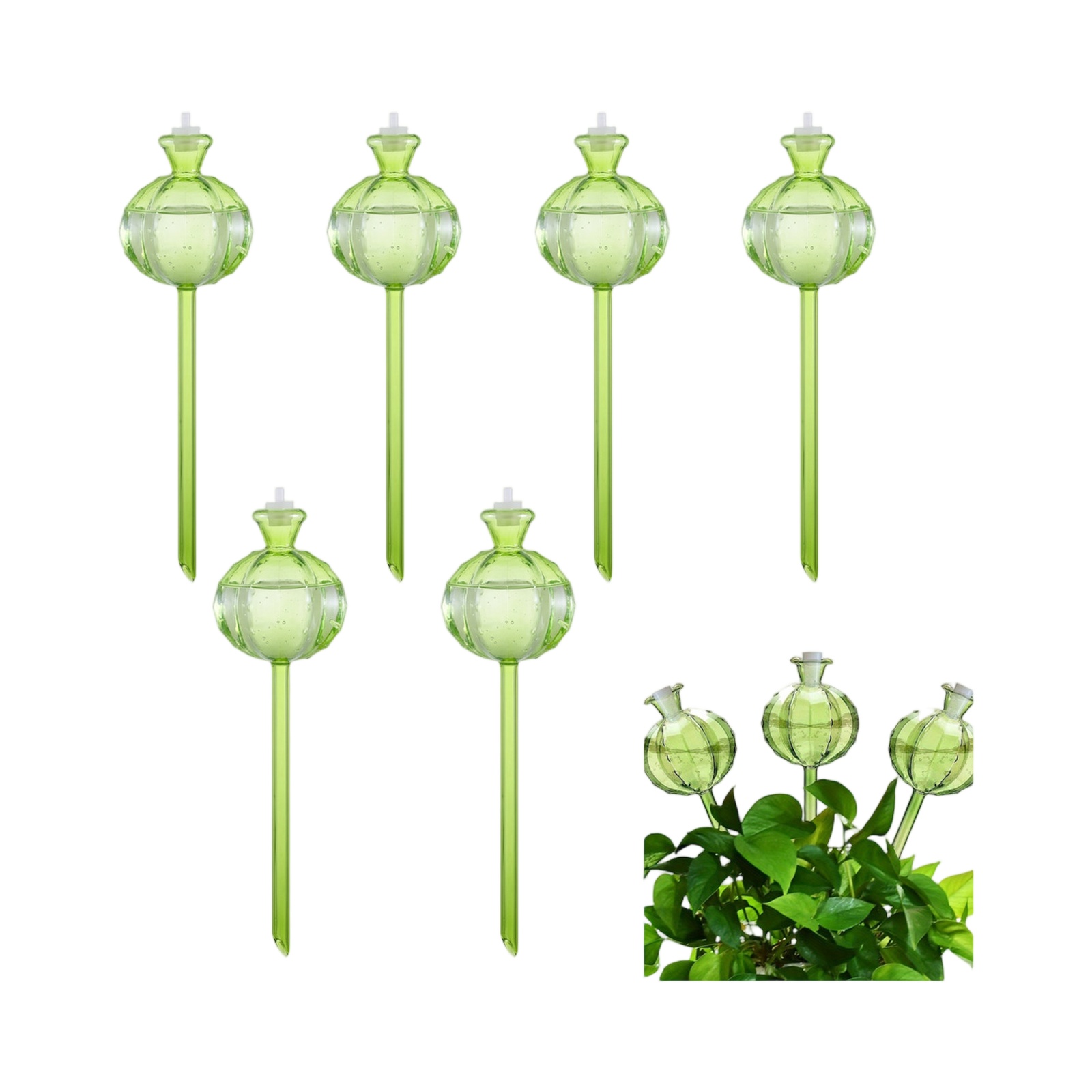 Plant Watering Globes Automati - đánh giá và giá Plant Watering Globe