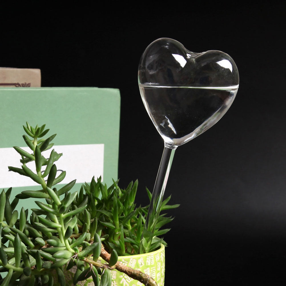 3Pcs Heart Shaped Glass Self W - đánh giá và giá Plant Watering Globe