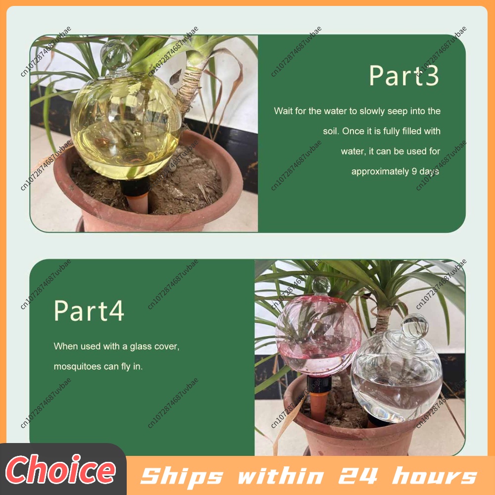 Automatic Self Watering Spikes - đánh giá và giá Plant Watering Globe