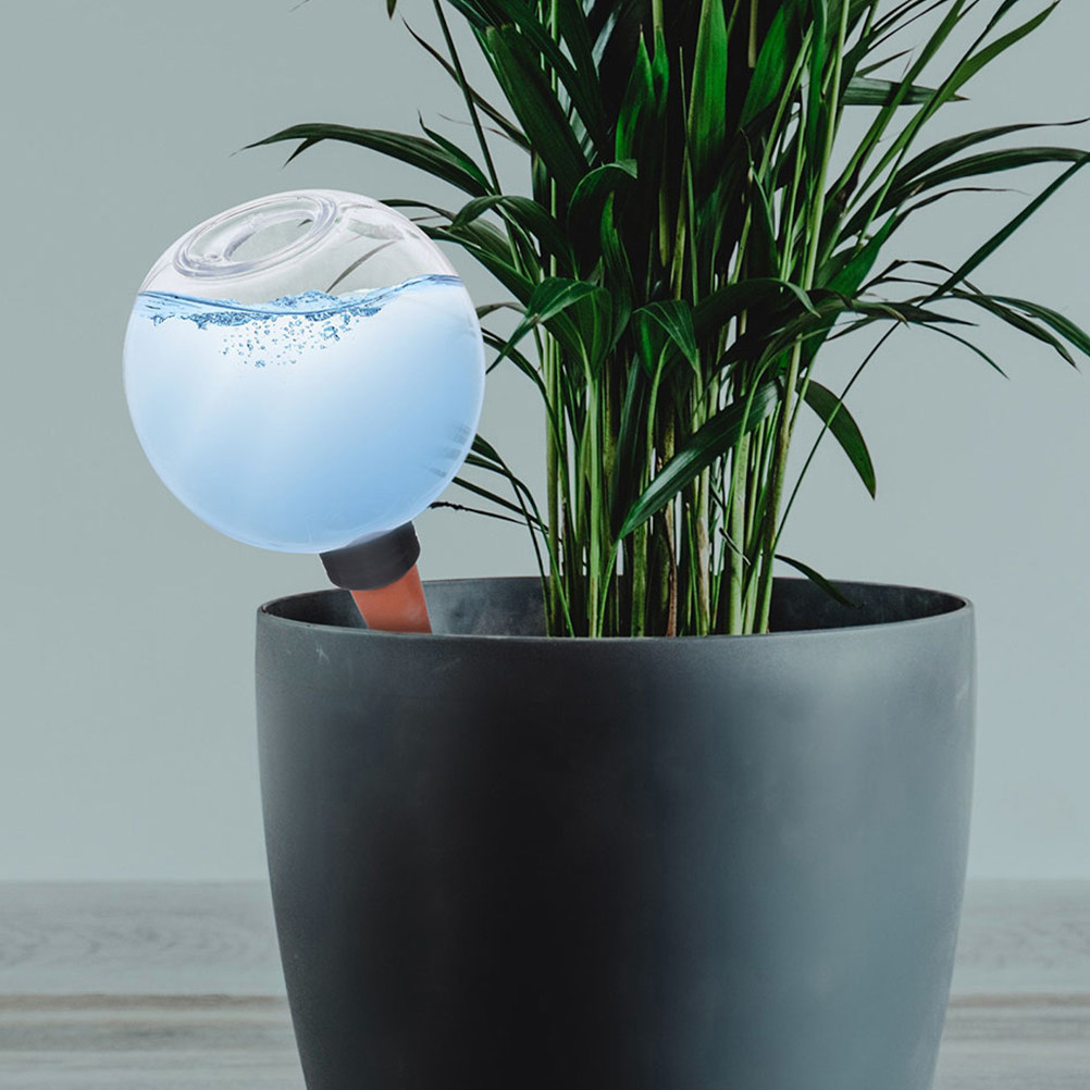 3Pcs Automatic Plant Waterer S - đánh giá và giá Plant Watering Globe