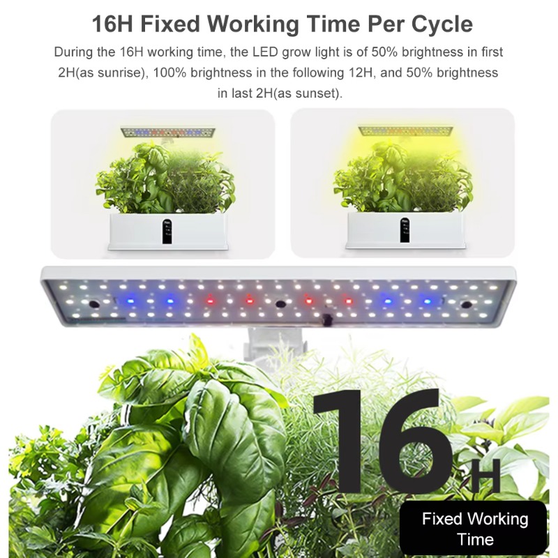 9 Pods Smart Hydroponics Growi - đánh giá và giá Smart Pod Garden