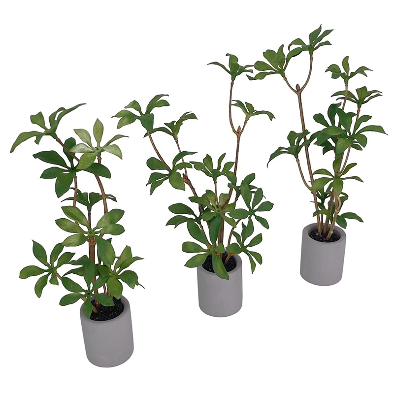 1:6 Dollhouse Miniature Potted - đánh giá và giá Smart Garden Mini
