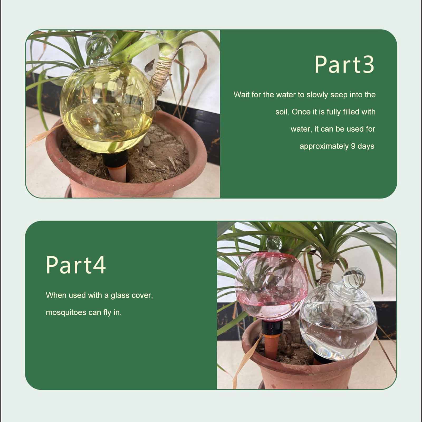 Self Watering Globes 500ML Aut - đánh giá và giá Plant Watering Globe