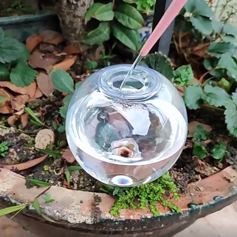 500ML Self Watering Globes Dri - đánh giá và giá Plant Watering Globe