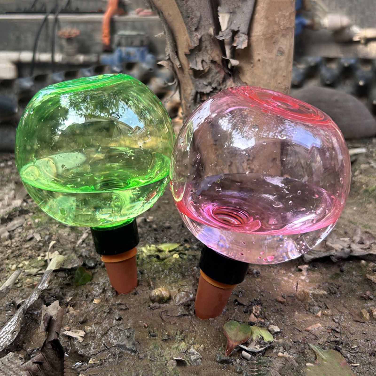1/4pcs Watering Balls Automati - đánh giá và giá Plant Watering Globe
