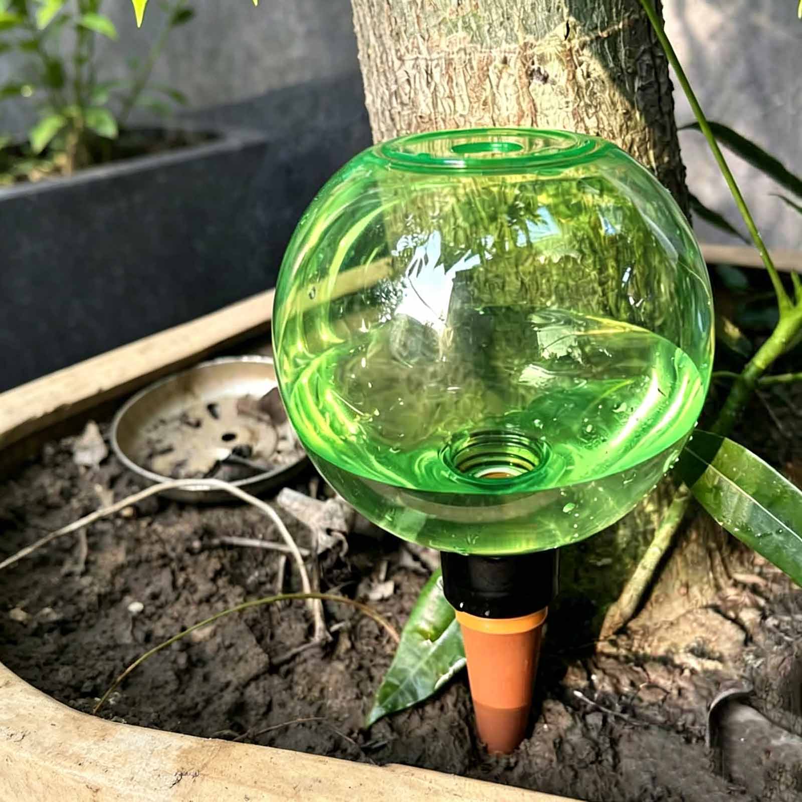 1/4pcs Watering Balls Automati - đánh giá và giá Plant Watering Globe