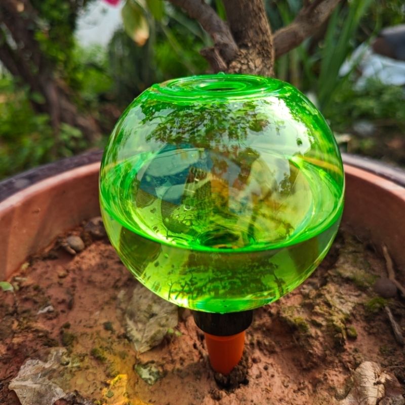 3pcs Large Plant Self Watering - đánh giá và giá Plant Watering Globe