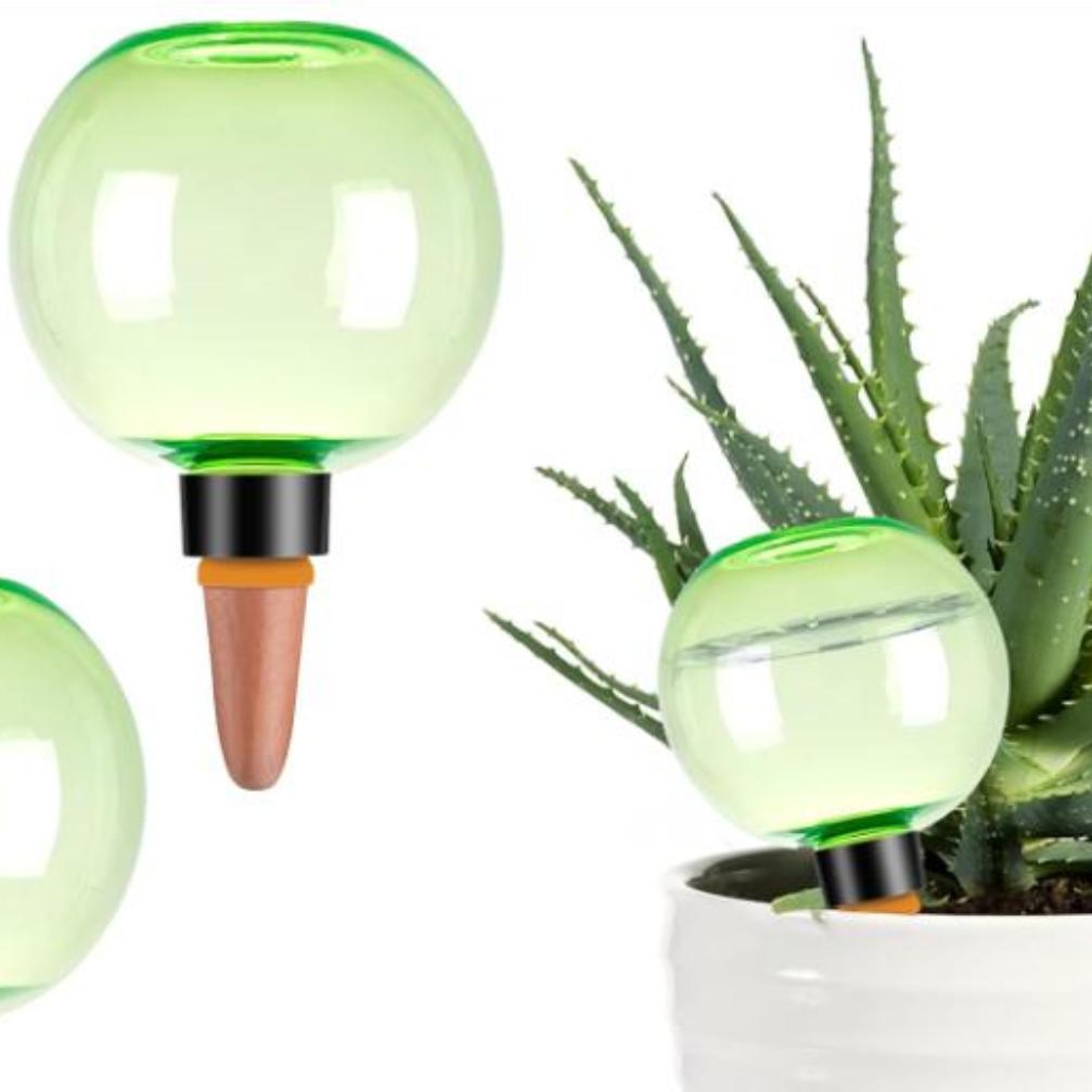 3pcs Large Plant Self Watering - đánh giá và giá Plant Watering Globe