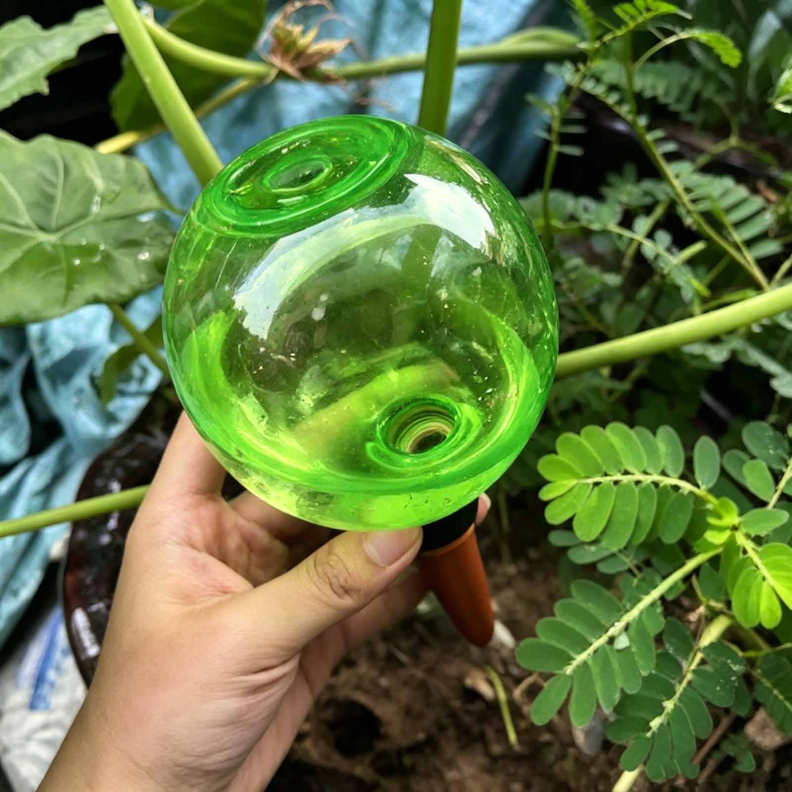 1/4pcs Plant Self Watering Glo - đánh giá và giá Plant Watering Globe