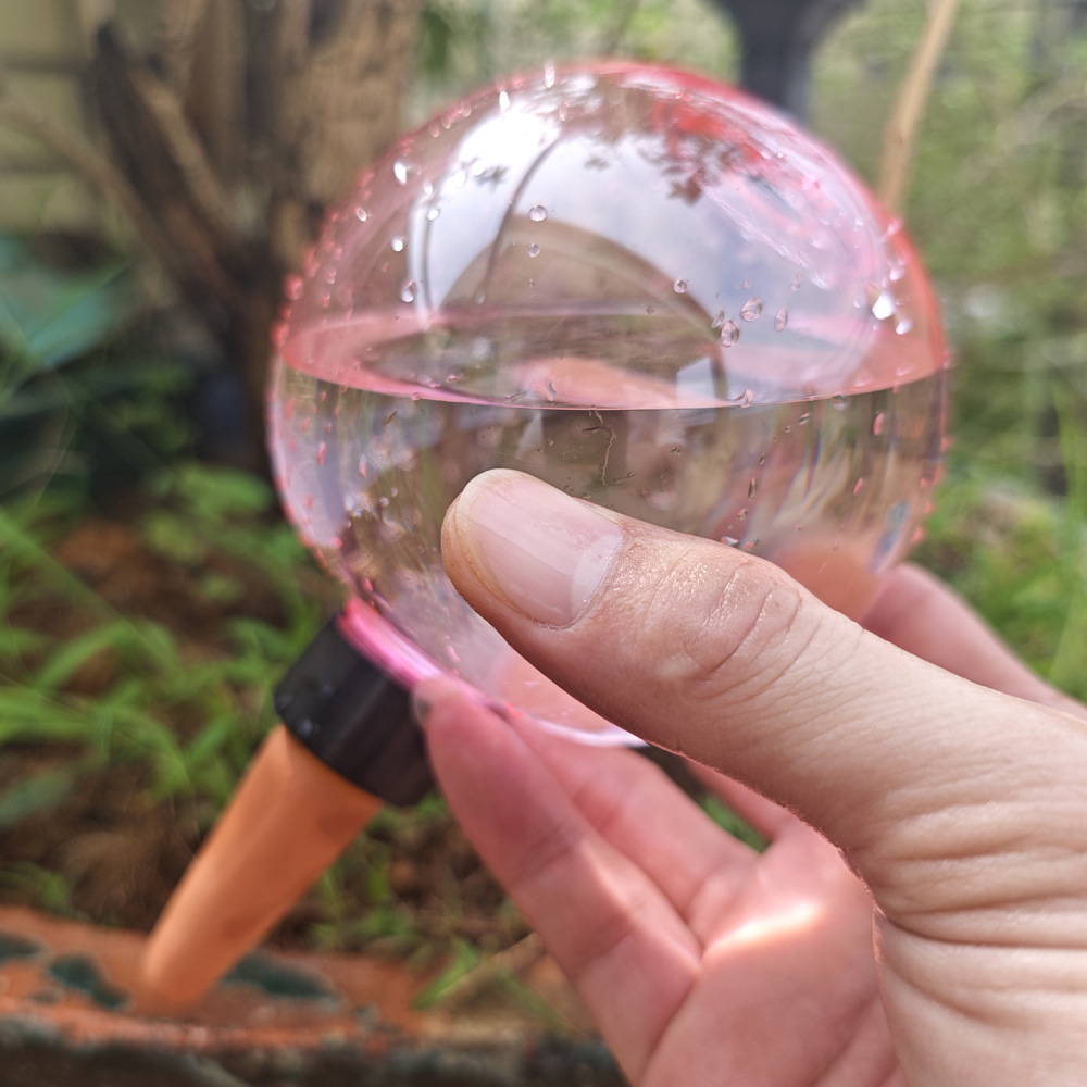 1/4pcs Plant Self Watering Glo - đánh giá và giá Plant Watering Globe