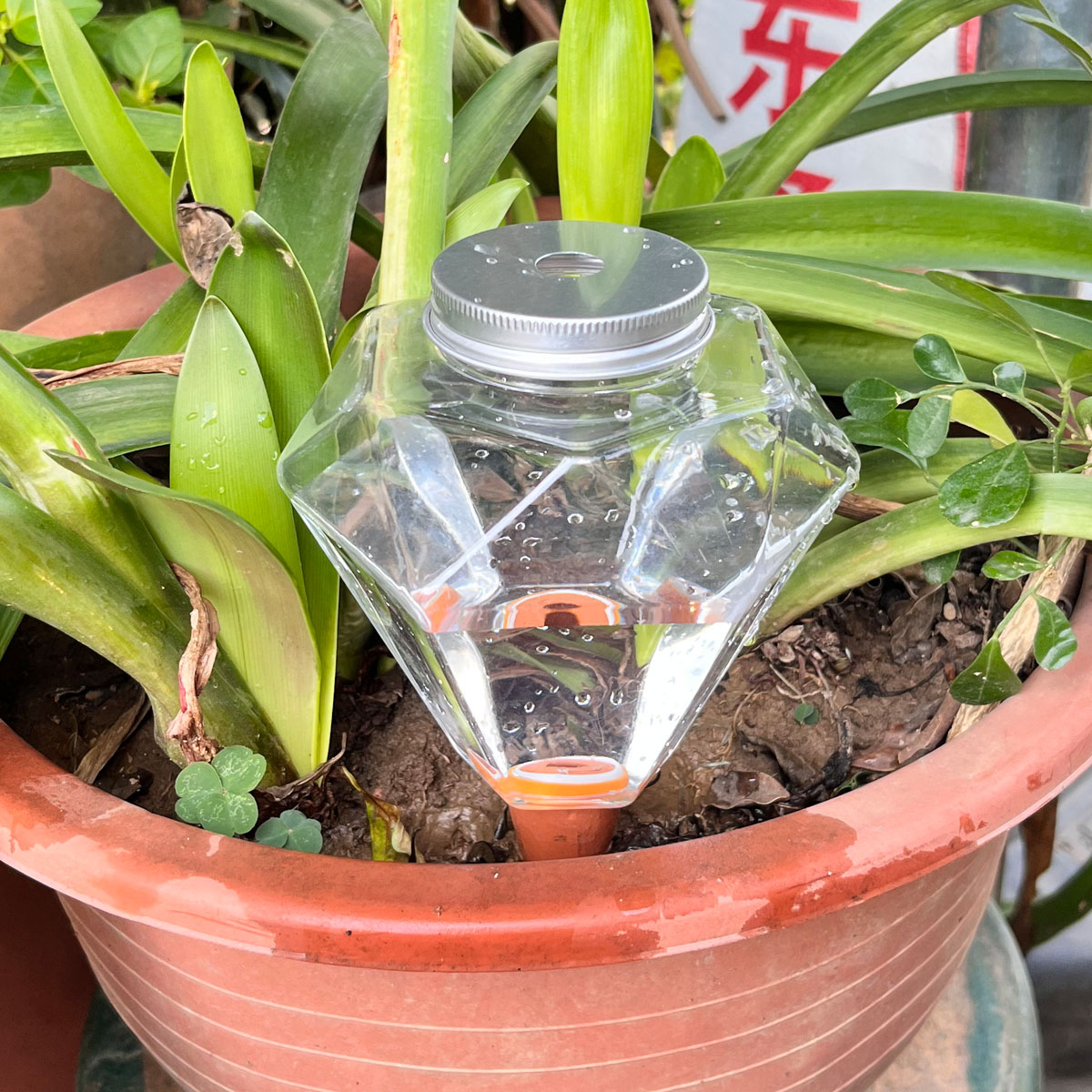 1pcs Cute Plastic Watering Mac - đánh giá và giá Plant Watering Globe