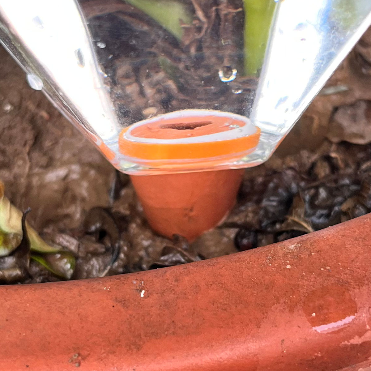1pcs Cute Plastic Watering Mac - đánh giá và giá Plant Watering Globe