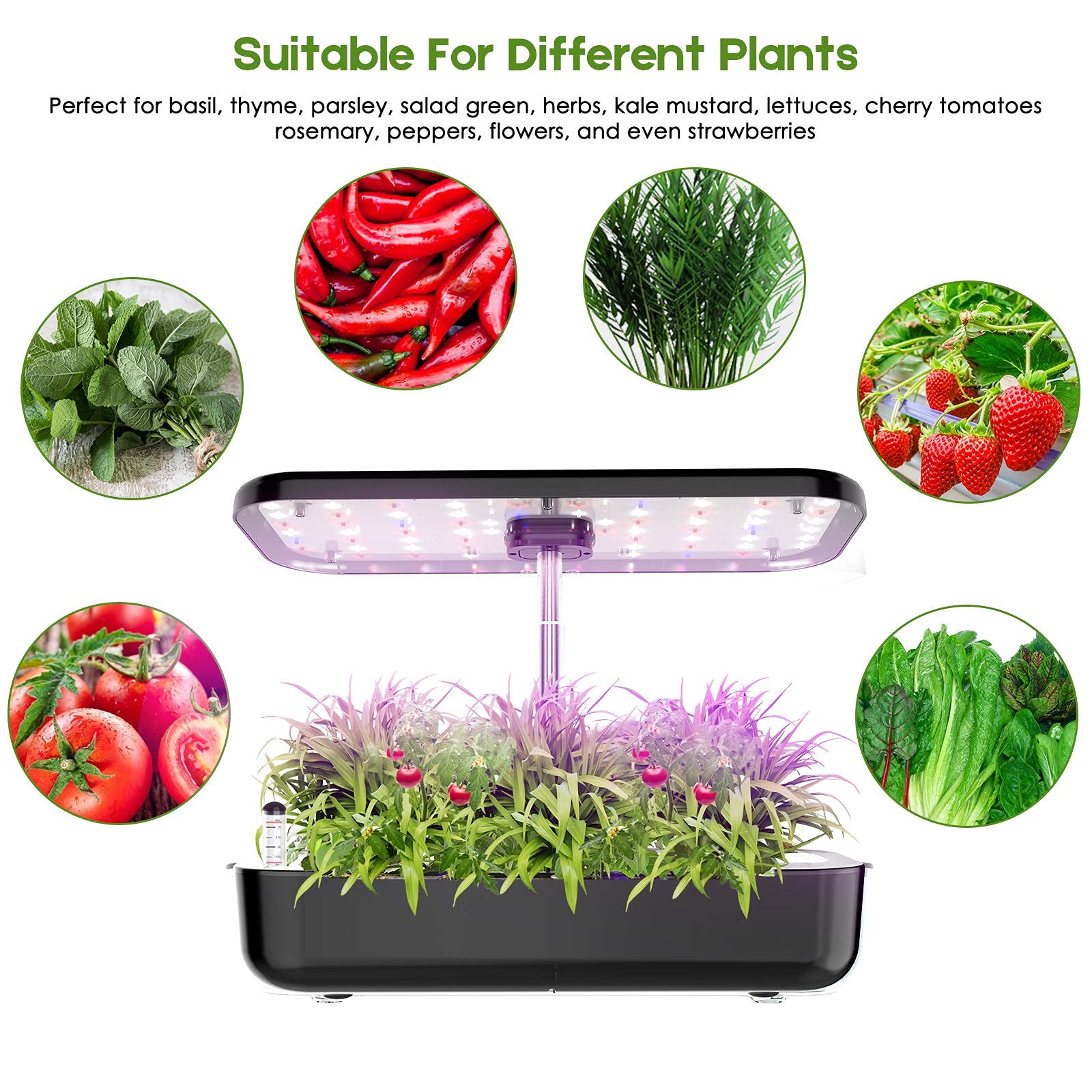 Thủy Canh Phát Triển Hệ Thống  - đánh giá và giá Smart Pod Garden