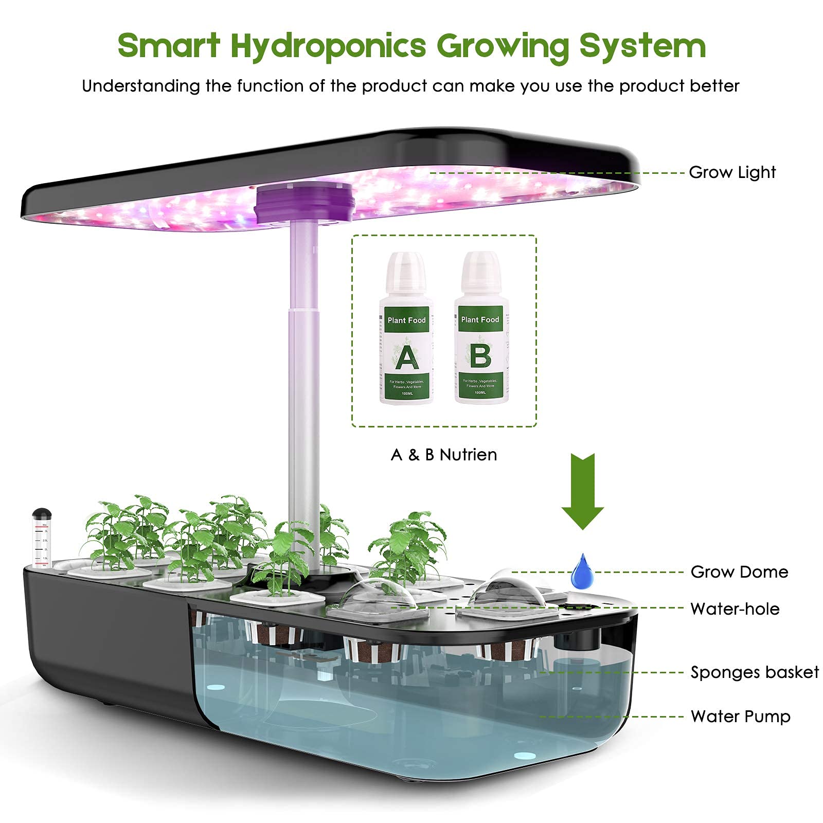 Thủy Canh Phát Triển Hệ Thống  - đánh giá và giá Smart Pod Garden