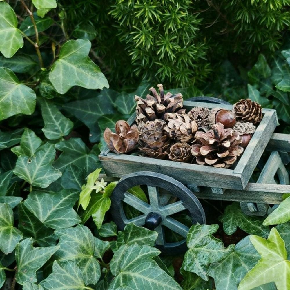 High Quality 1:12 Scale Dollho - đánh giá và giá Smart Garden Mini