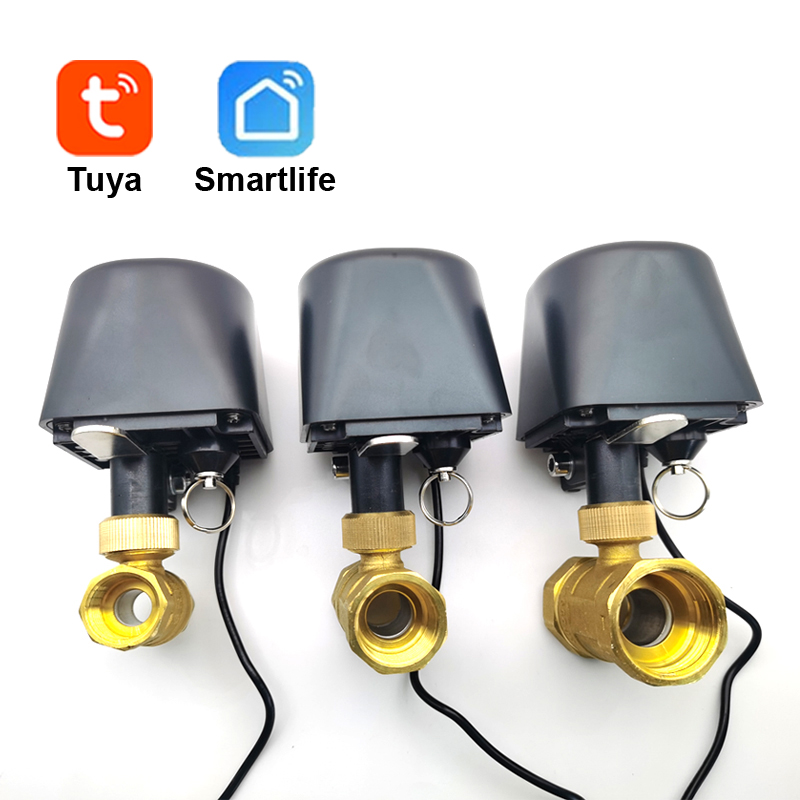 Tuya WiFi or Zigbee Water Valv - đánh giá và giá Smart Garden Timer