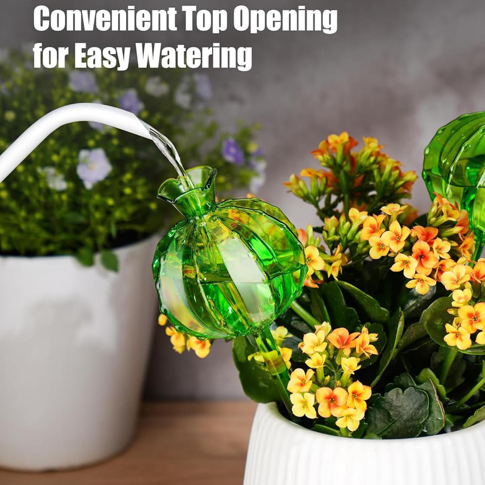 Plant Watering Globes Stakes 3 - đánh giá và giá Plant Watering Globe